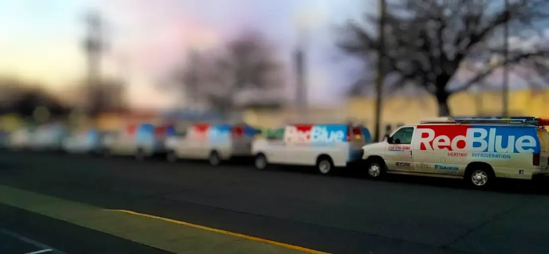 Redblue fleet of vans
