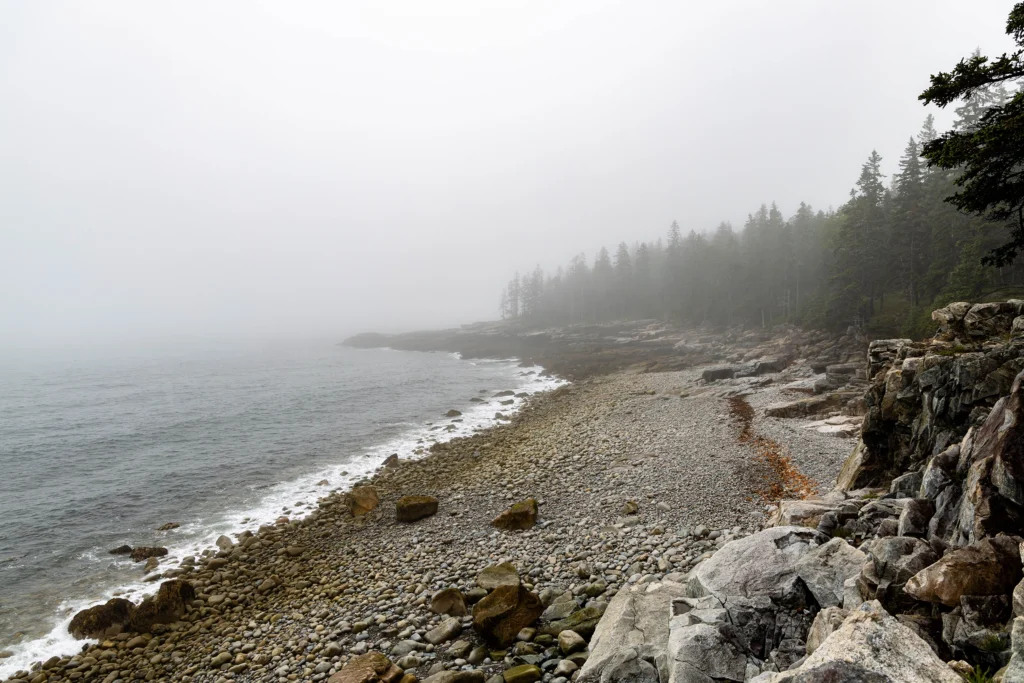 Coastal BC picture